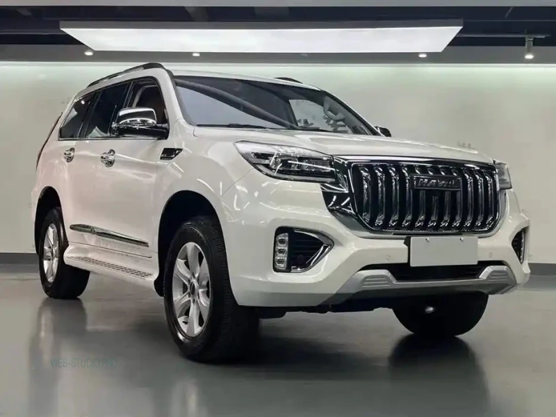 HAVAL H9