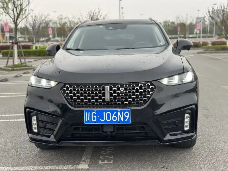 WEY VV7