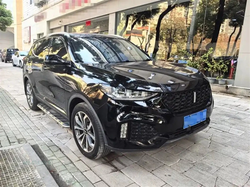 WEY VV6