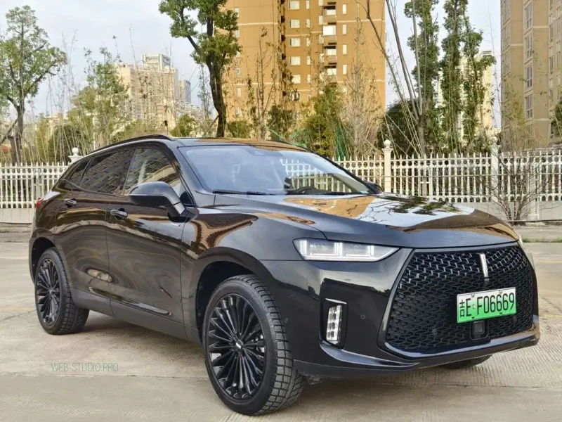 WEY P8