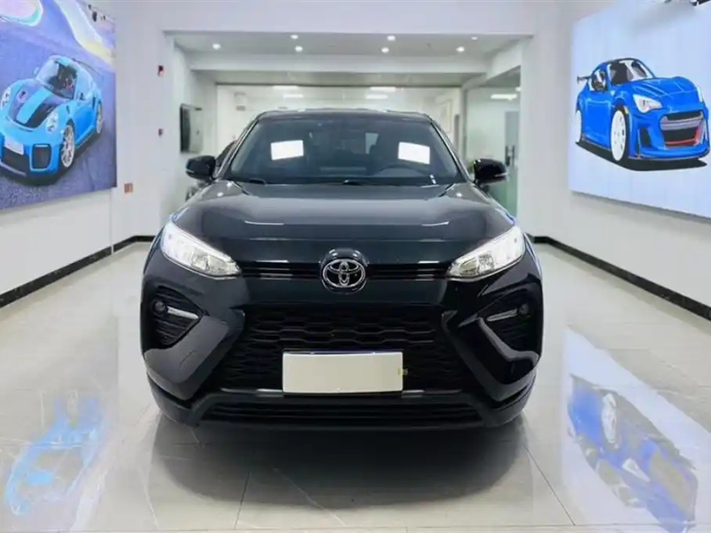 TOYOTA WILDLANDER