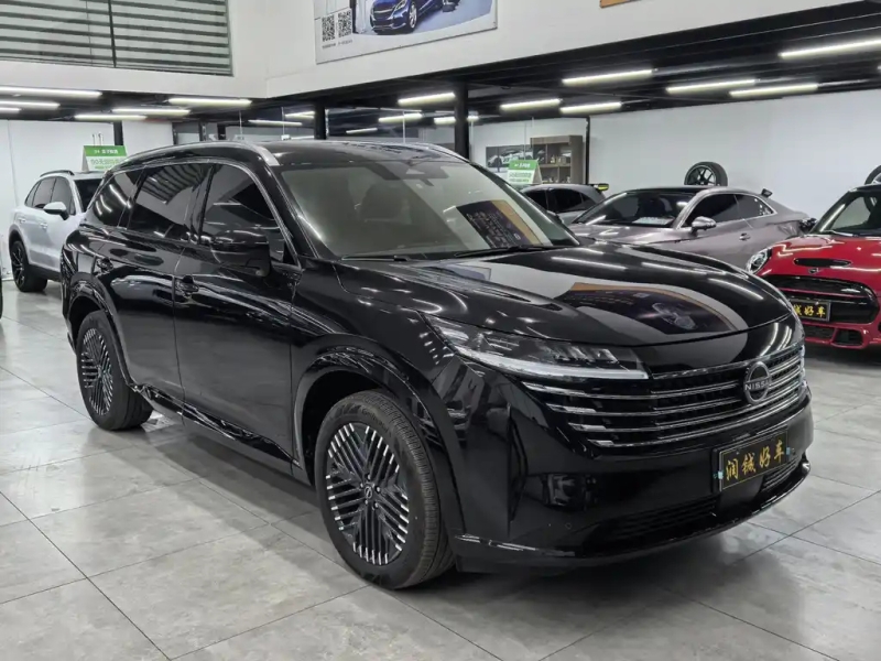 NISSAN OTHER