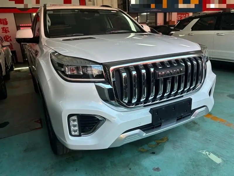 HAVAL H9