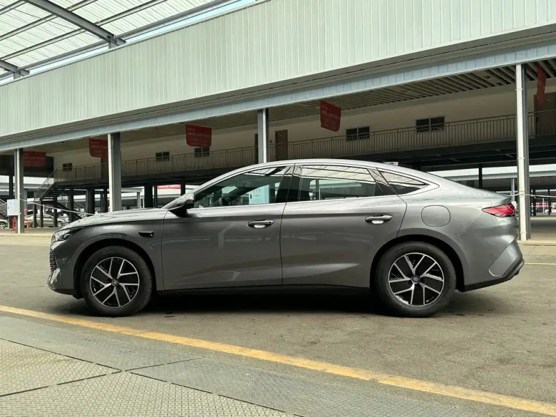 BYD QIN L