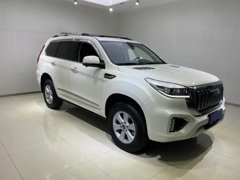HAVAL H9