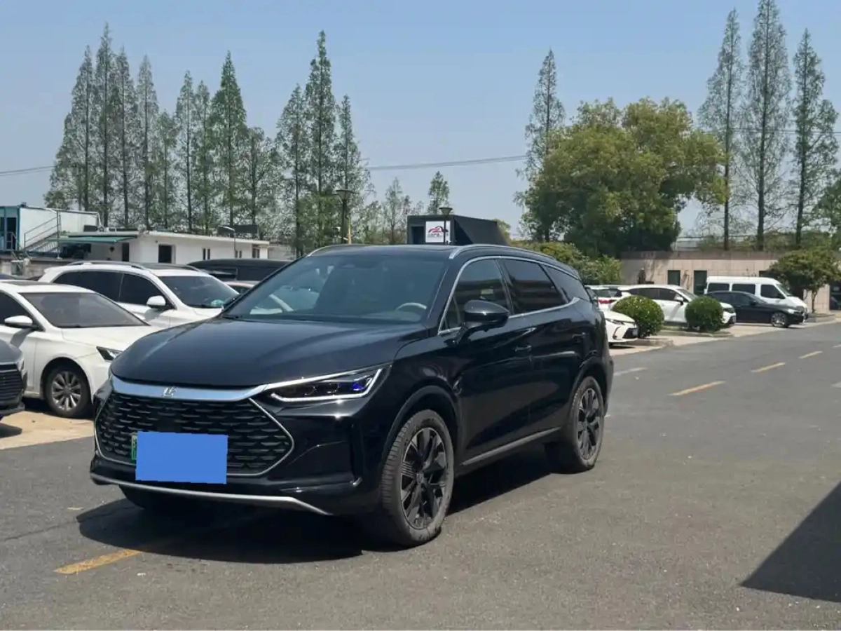 BYD TANG NEW ENERGY