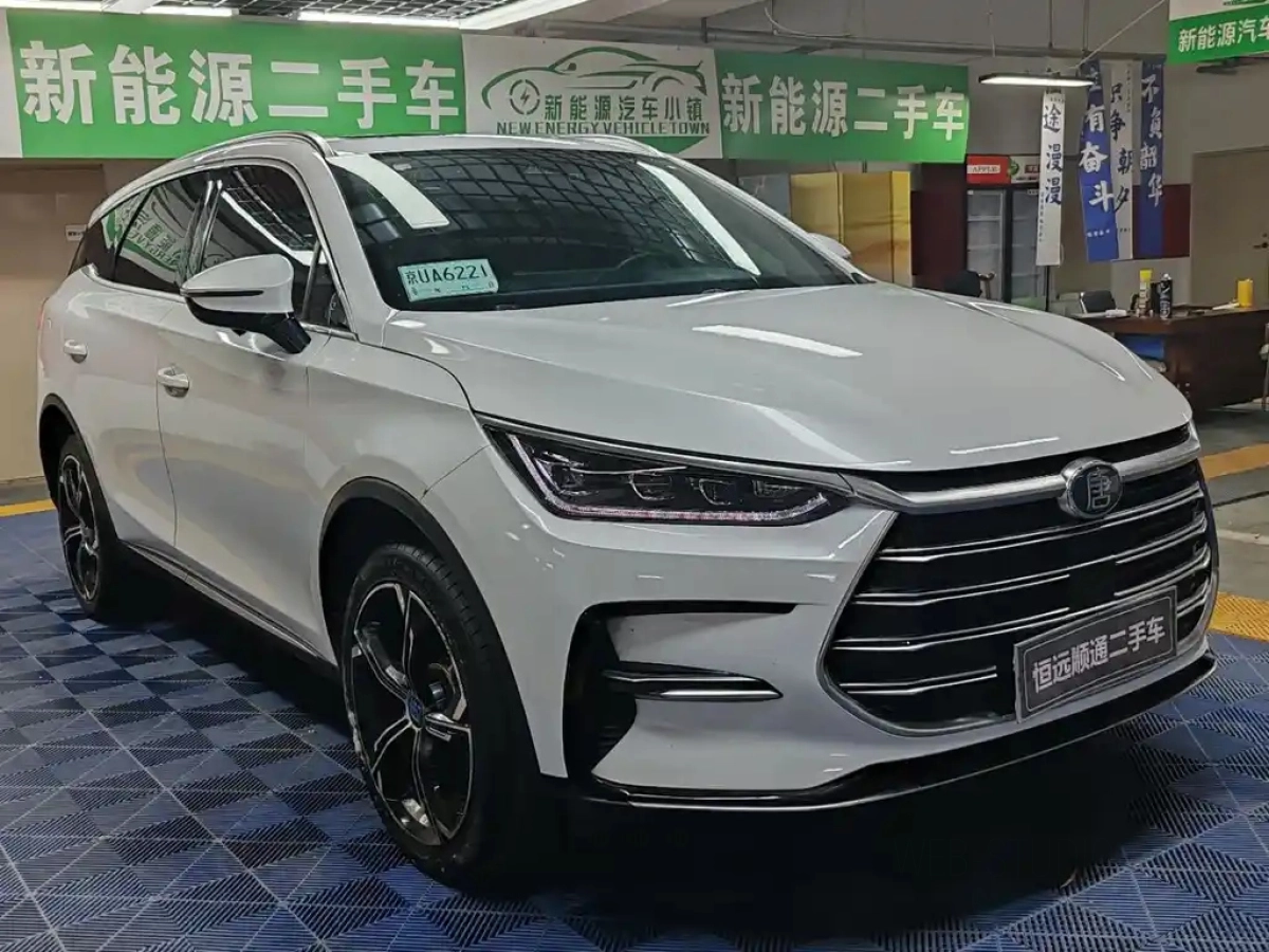 BYD TANG NEW ENERGY
