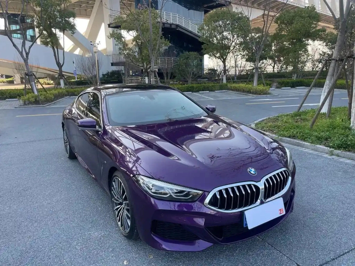 BMW 8-SERIES