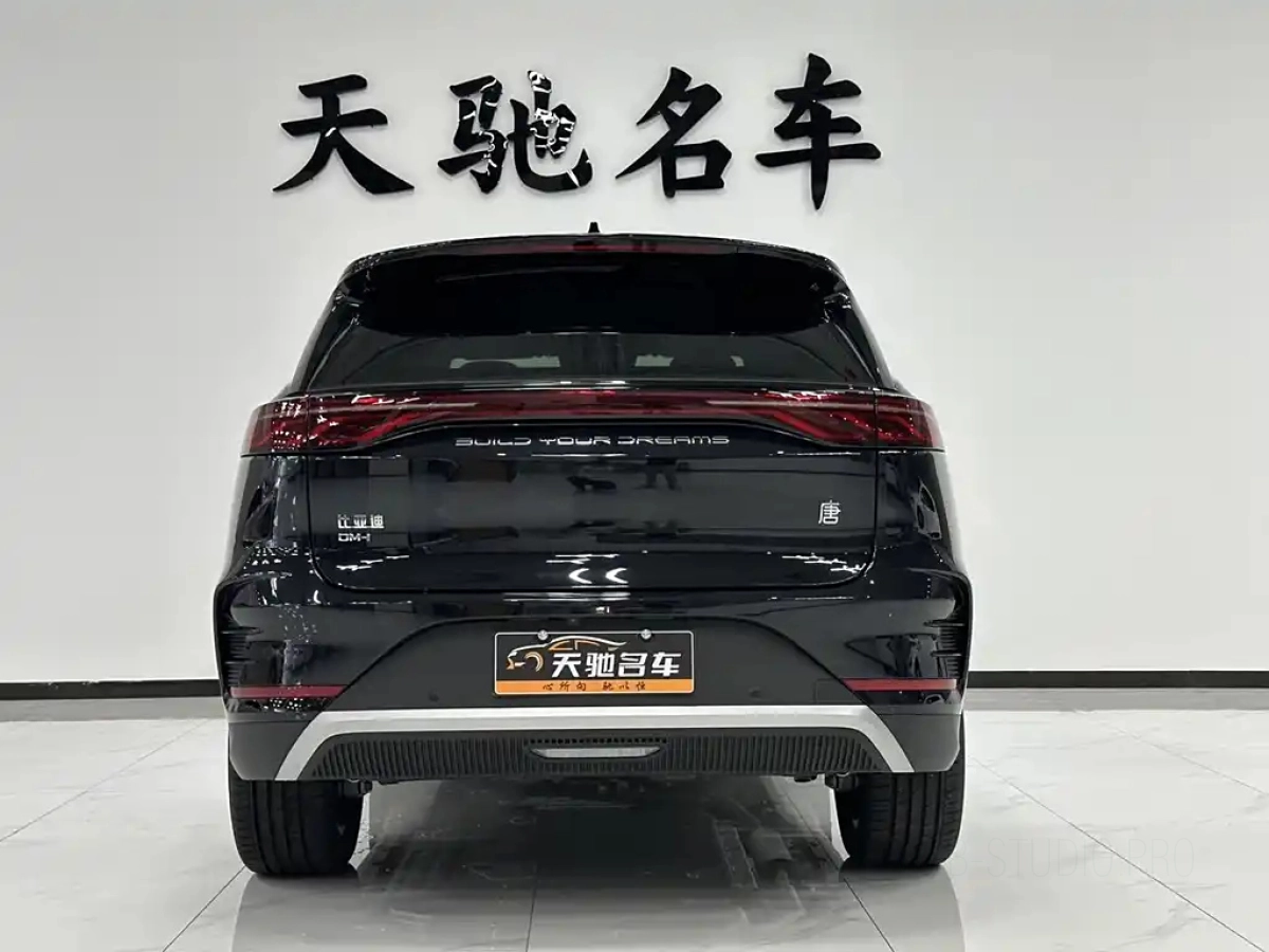 BYD TANG NEW ENERGY