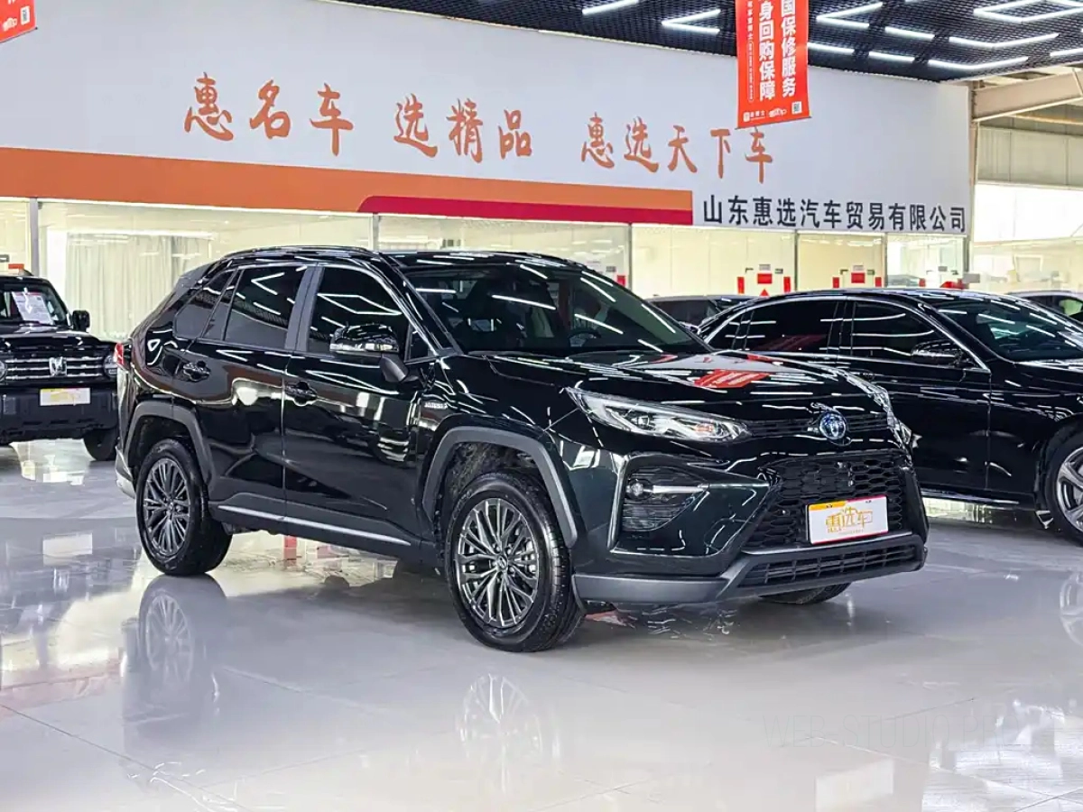 TOYOTA WILDLANDER