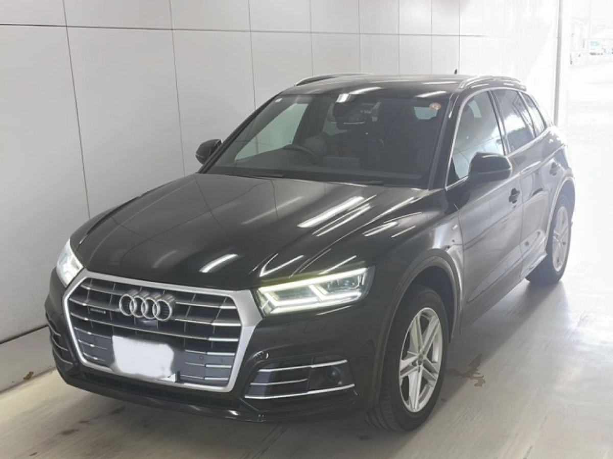 AUDI Q5 FYDAXS 2019