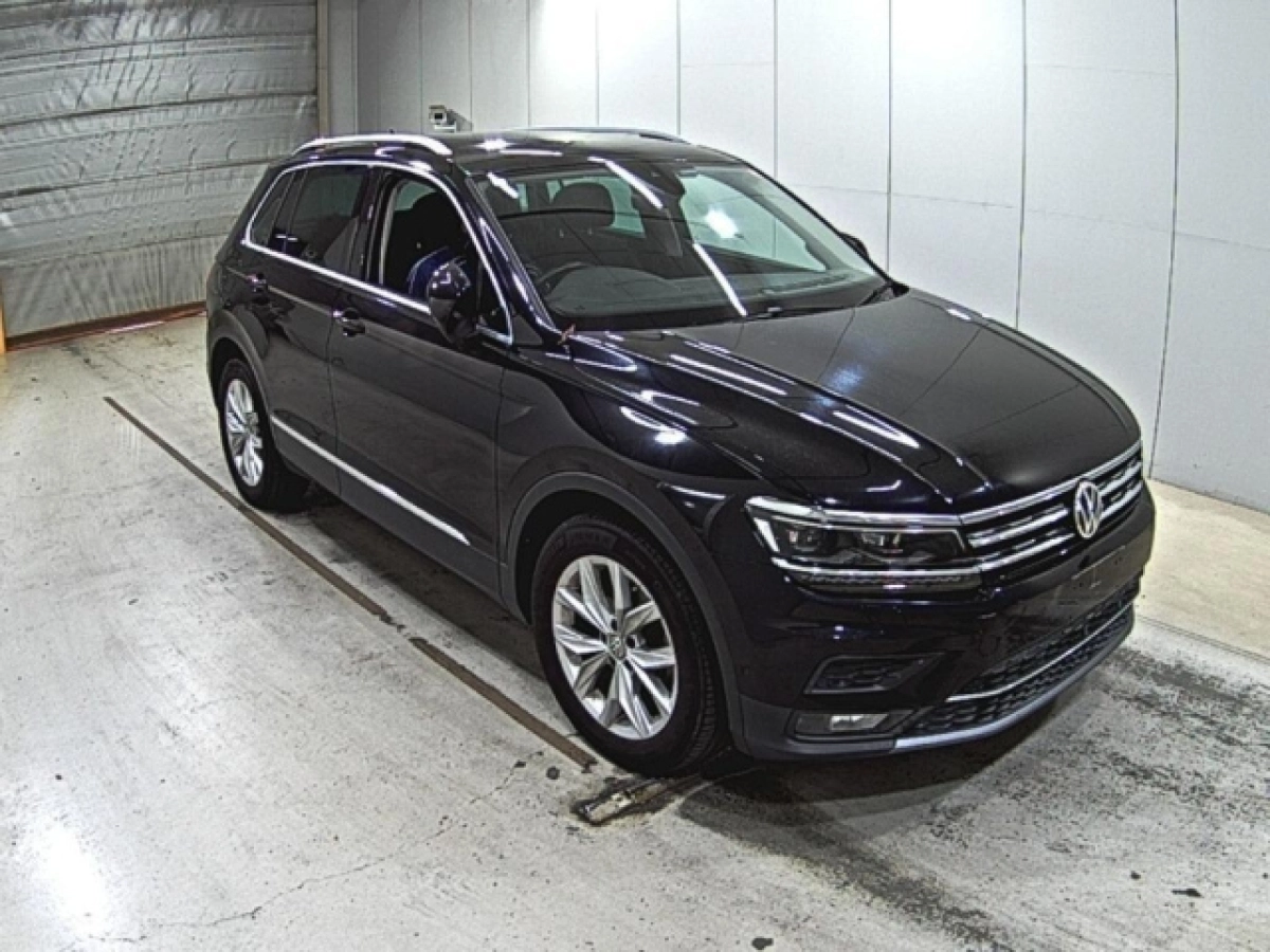 VOLKSWAGEN TIGUAN 5NDFGF 2019