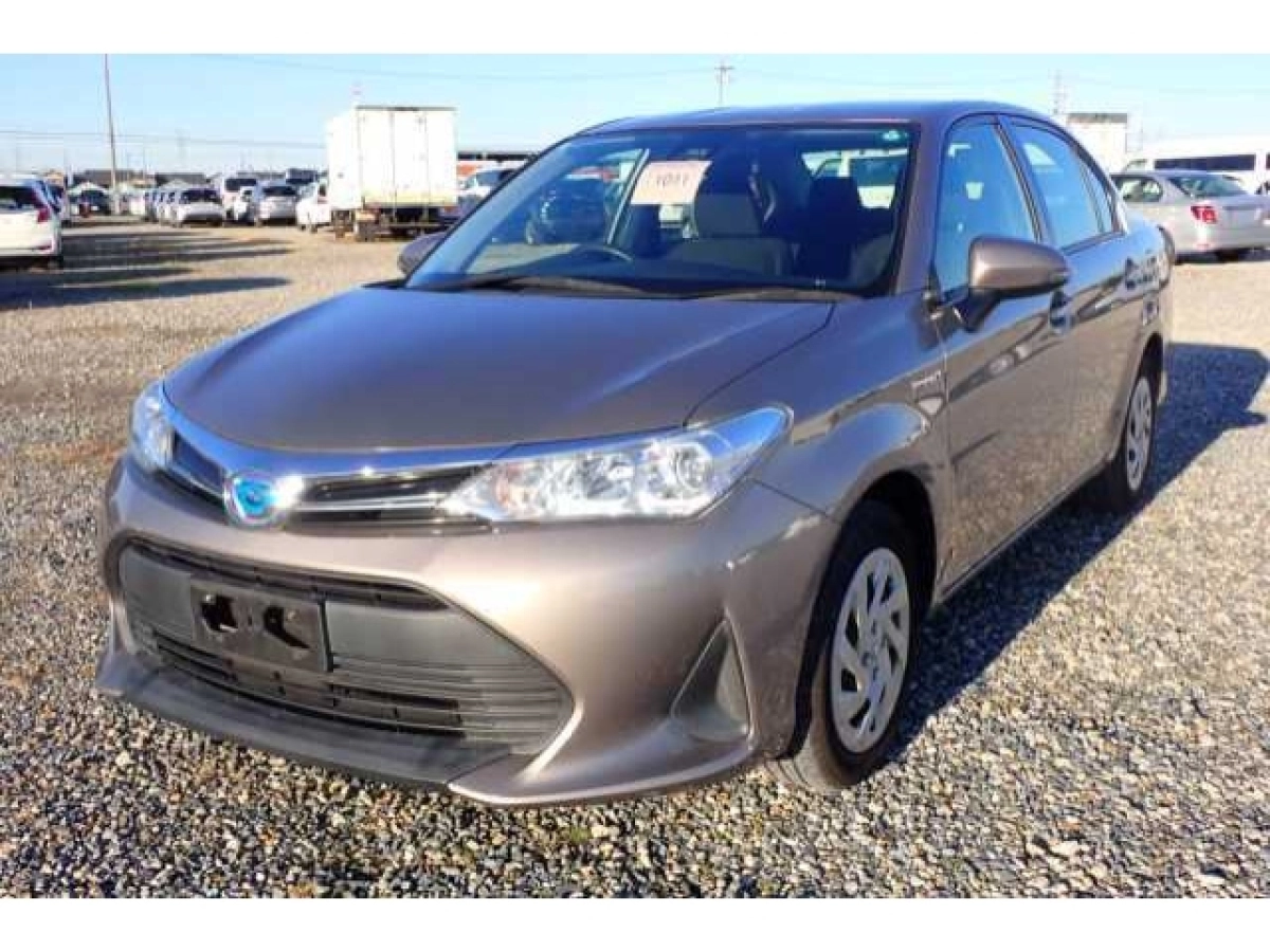TOYOTA COROLLA AXIO NKE165 2019