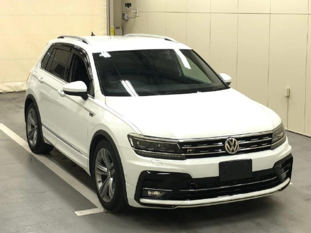 VOLKSWAGEN TIGUAN 5NDFGF 2019