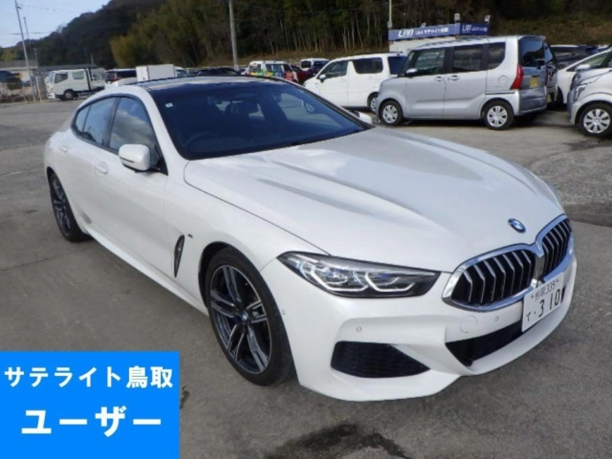 BMW 8 SERIES GV30 2021