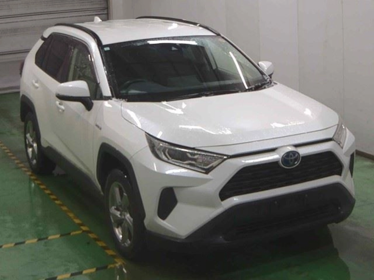 TOYOTA RAV4 AXAH52 2019
