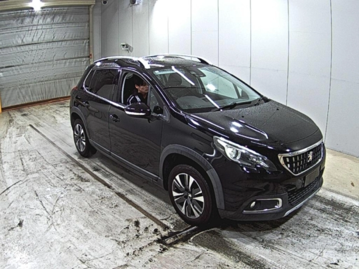 PEUGEOT 2008 A94HN01 2019