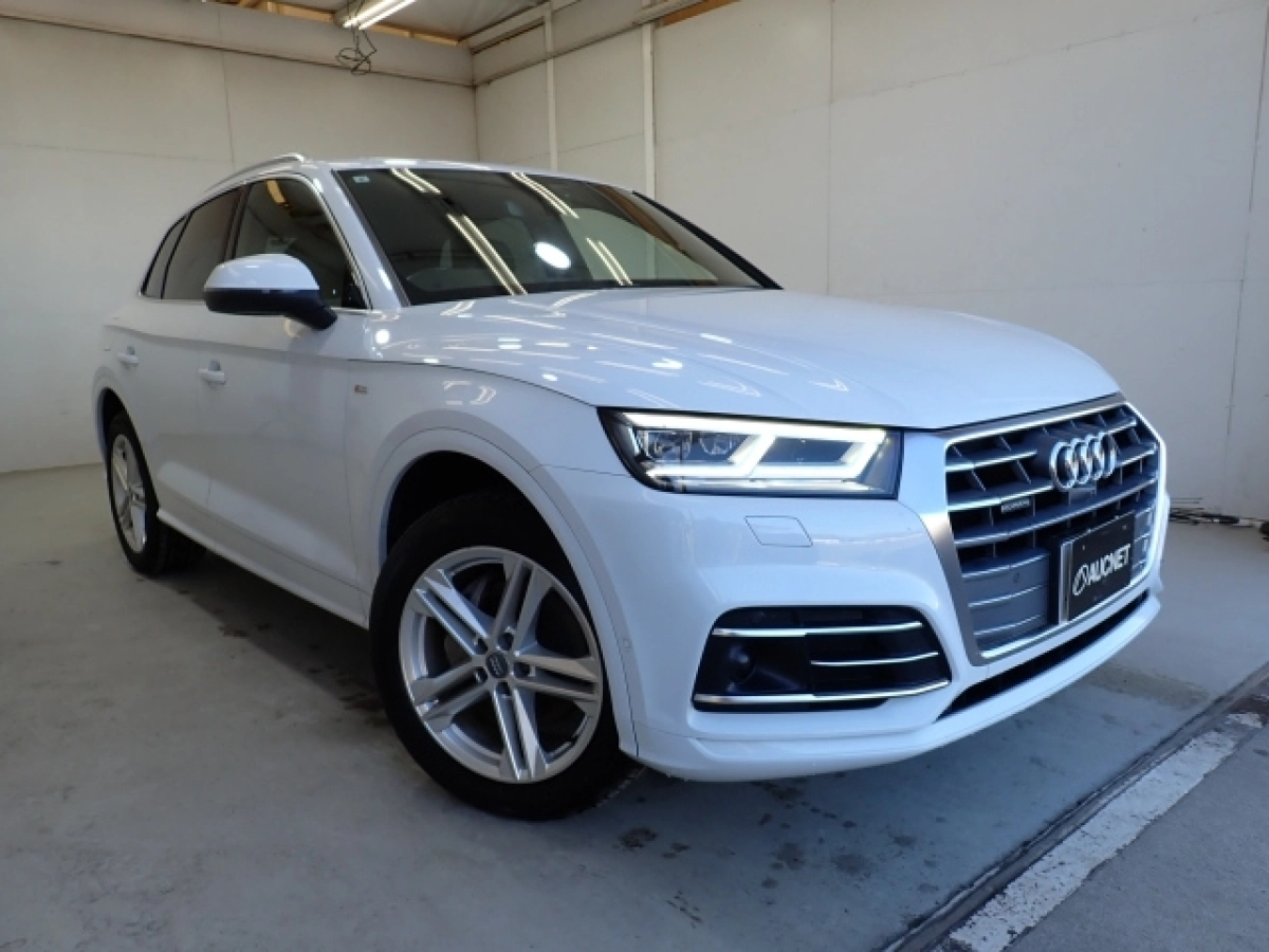 AUDI Q5 FYDETS 2019