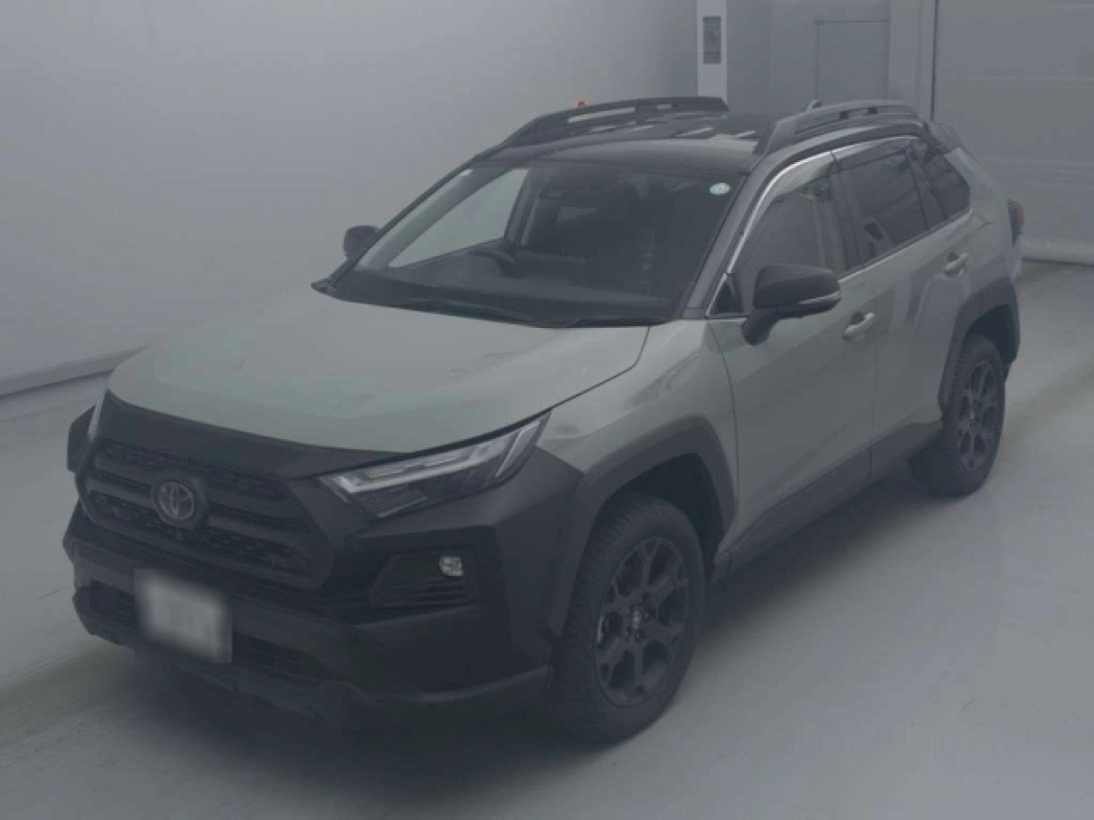 TOYOTA RAV4 AXAH54 2024