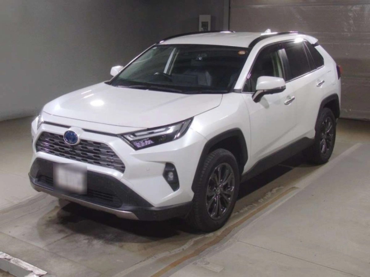 TOYOTA RAV4 AXAH54 2024