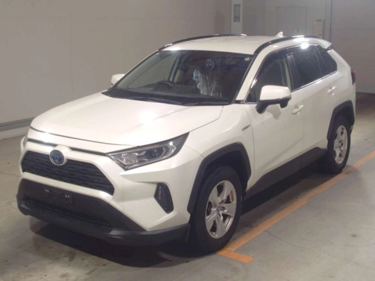 TOYOTA RAV4 AXAH52 2020