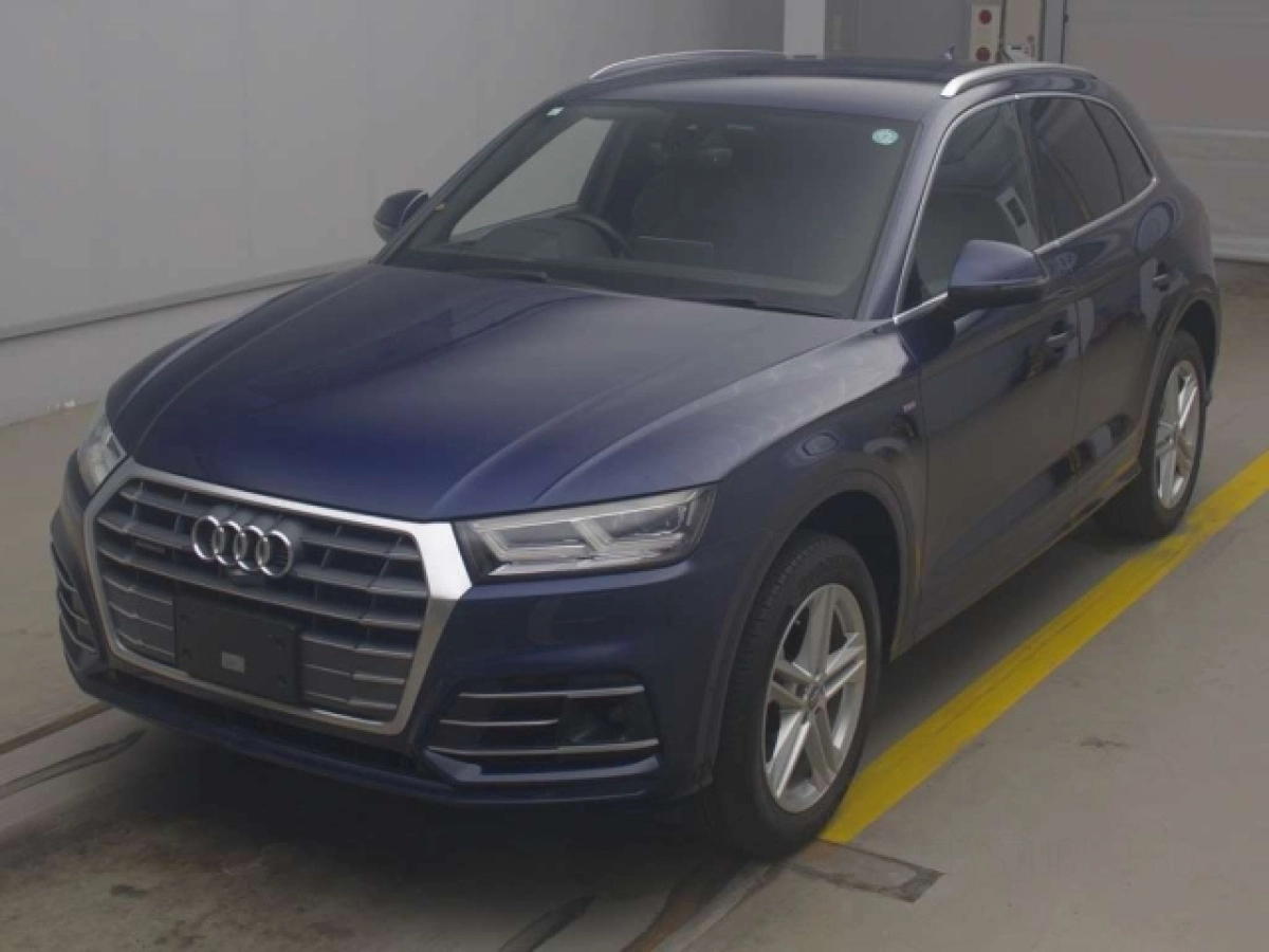 AUDI Q5 FYDETS 2019