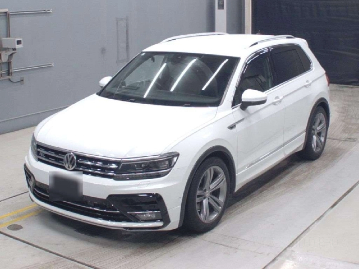 VOLKSWAGEN TIGUAN 5NDFGF 2019