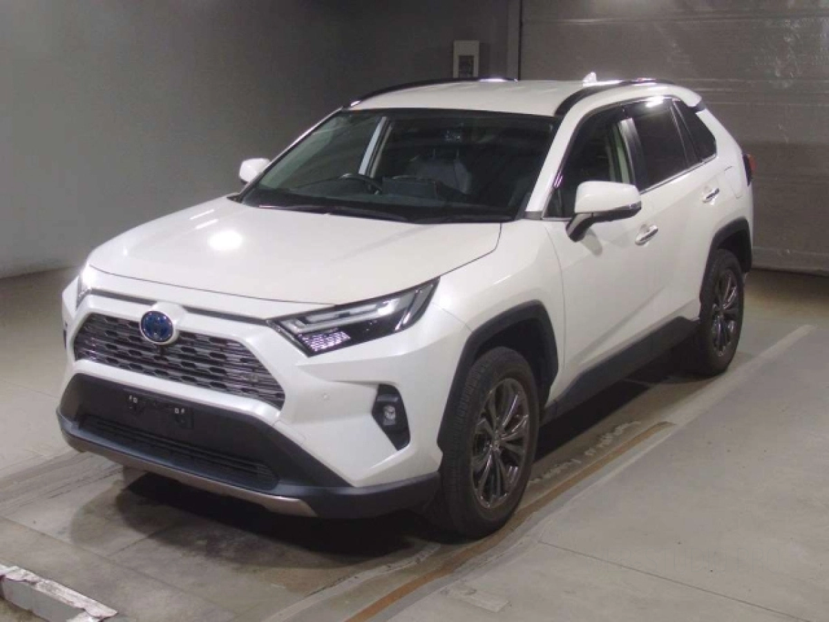 TOYOTA RAV4 AXAH54 2022