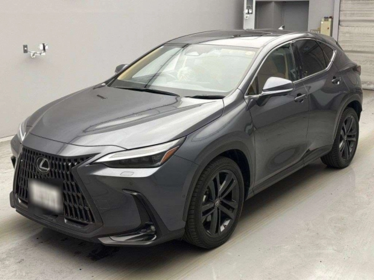 LEXUS NX AAZH26 2022