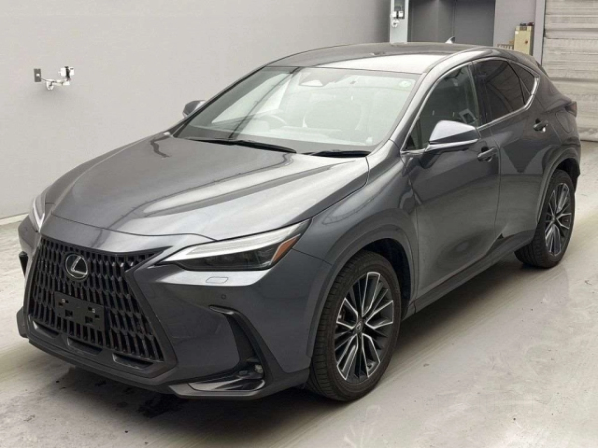 LEXUS NX AAZH26 2022