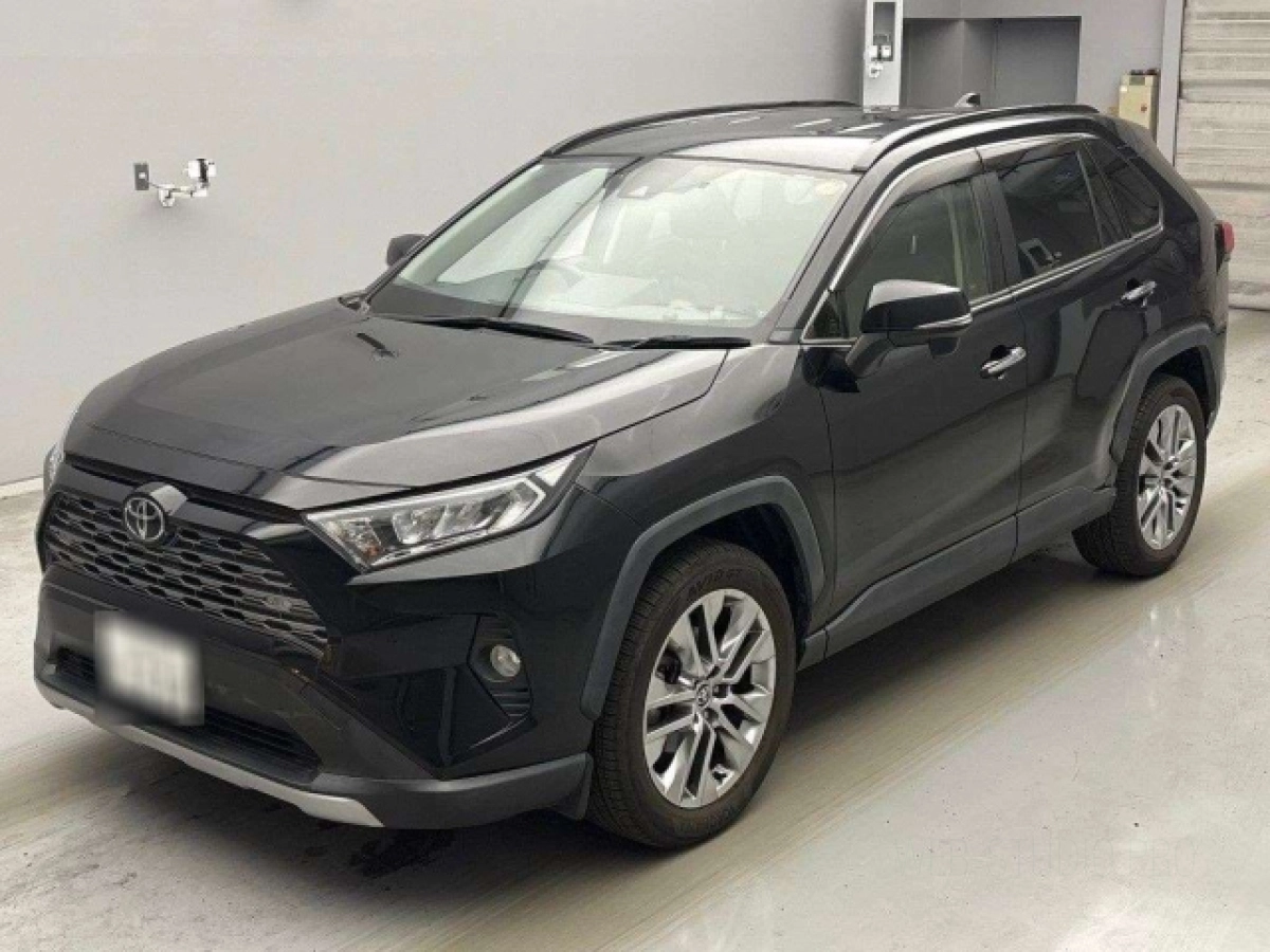 TOYOTA RAV4 MXAA54 2019