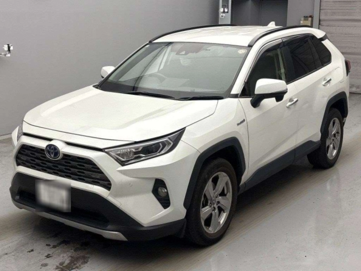 TOYOTA RAV4 AXAH54 2019