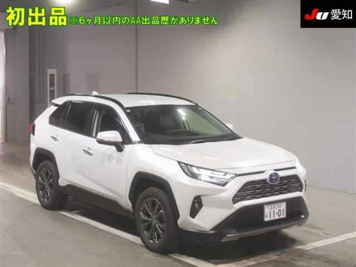 TOYOTA RAV4 AXAH54 2024