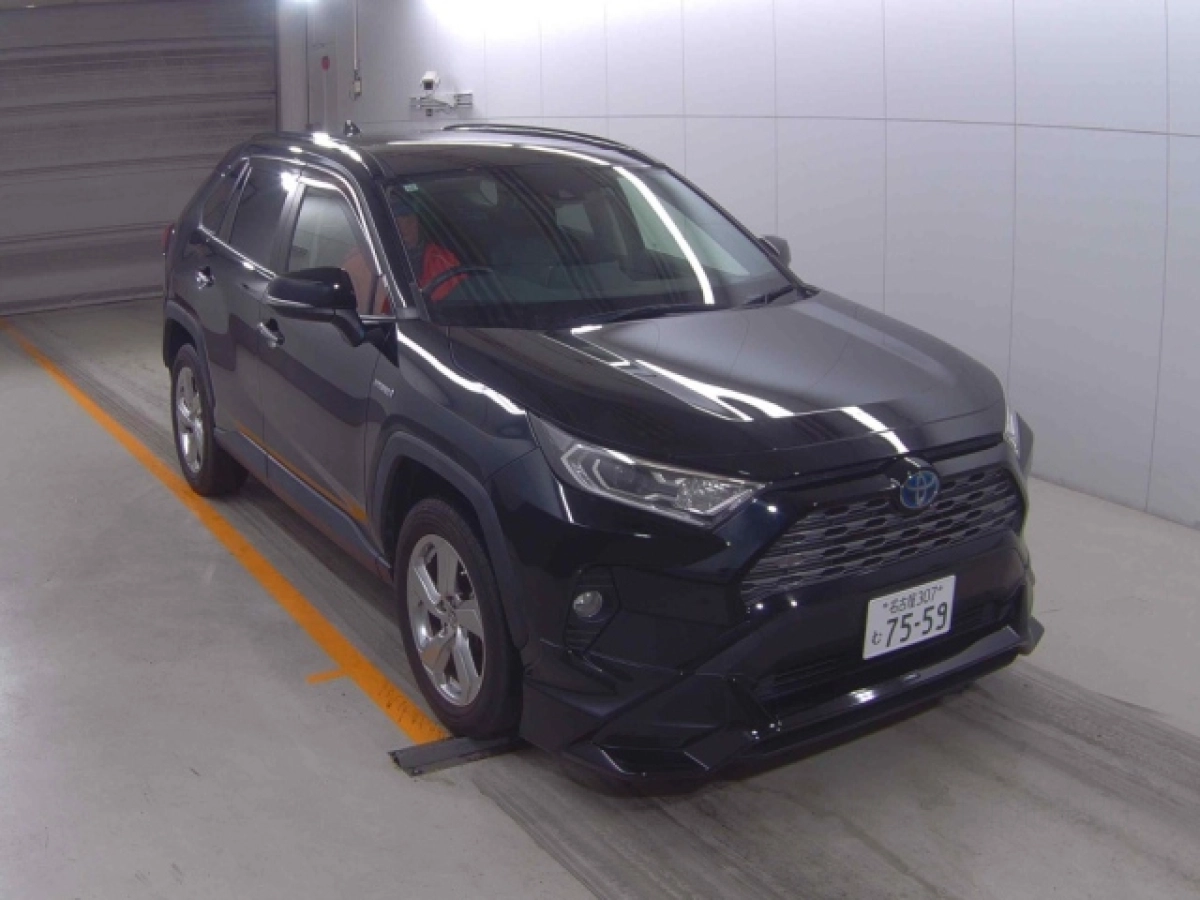 TOYOTA RAV4 AXAH54 2019