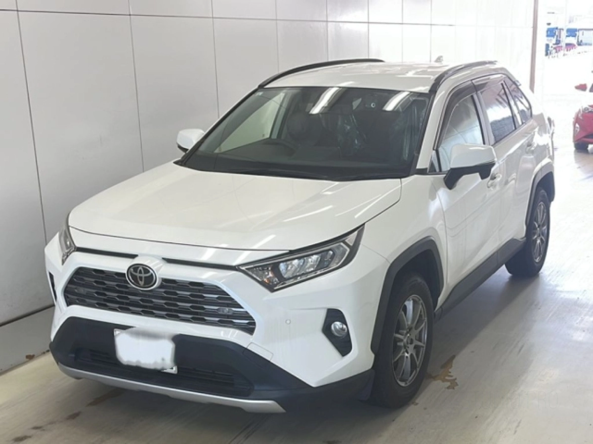 TOYOTA RAV4 MXAA54 2019