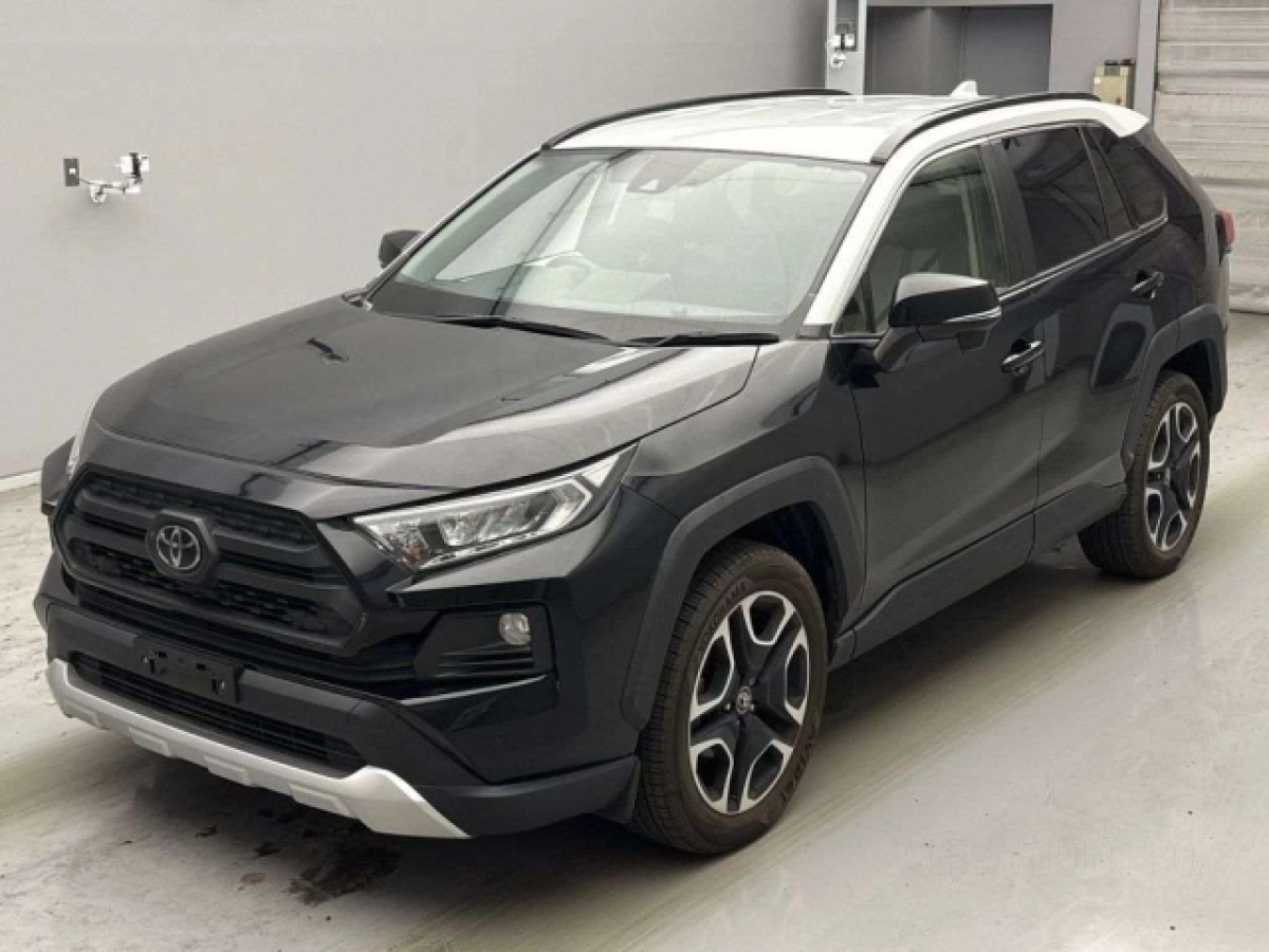 TOYOTA RAV4 MXAA54 2019