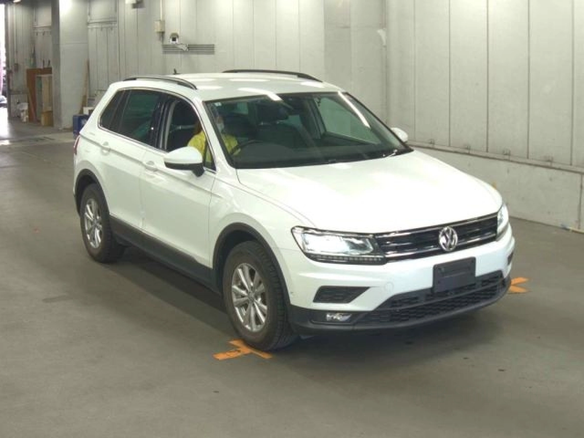 VOLKSWAGEN TIGUAN 5NDFGF 2019