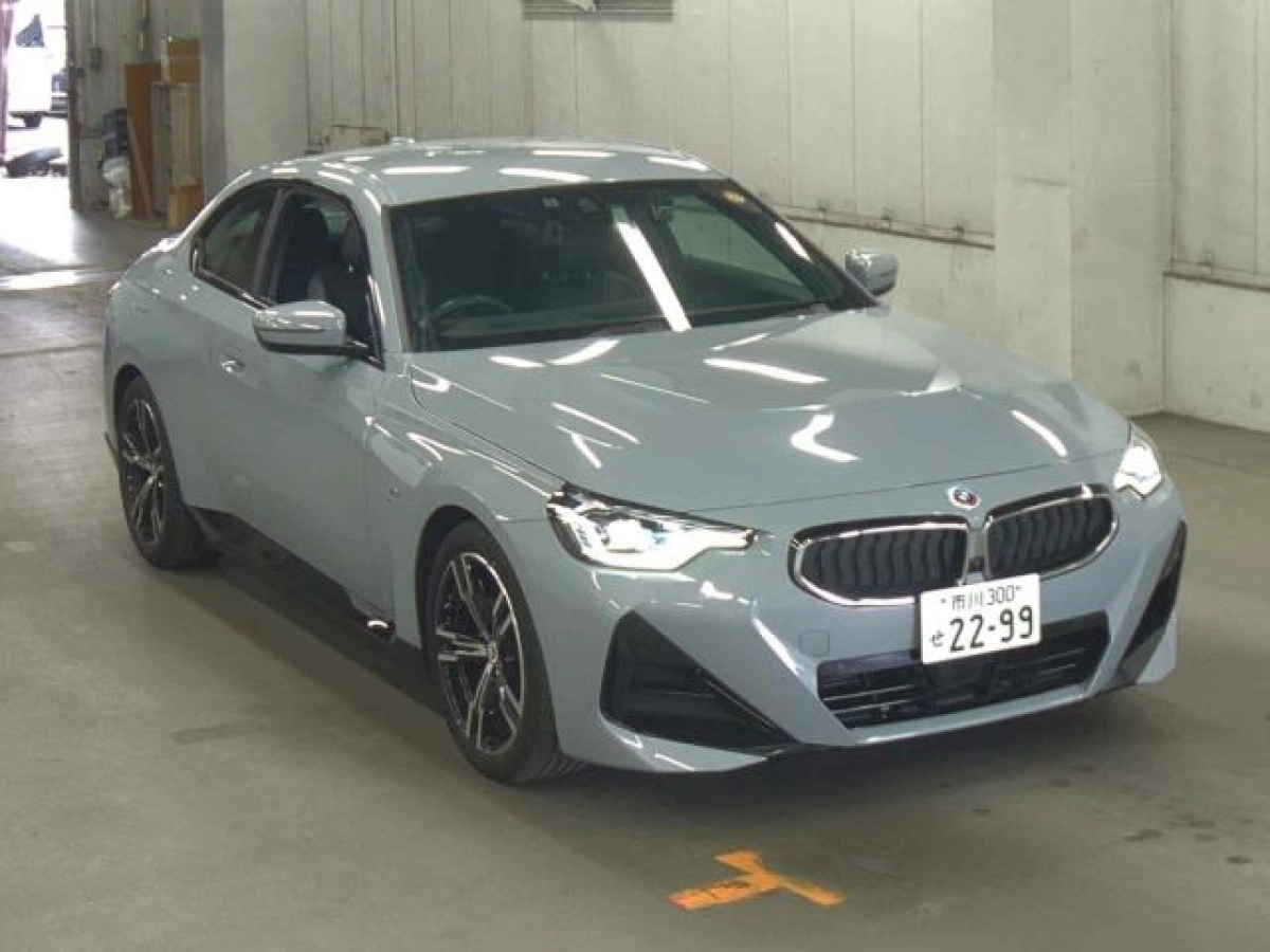 BMW 2 SERIES 12CM20 2023