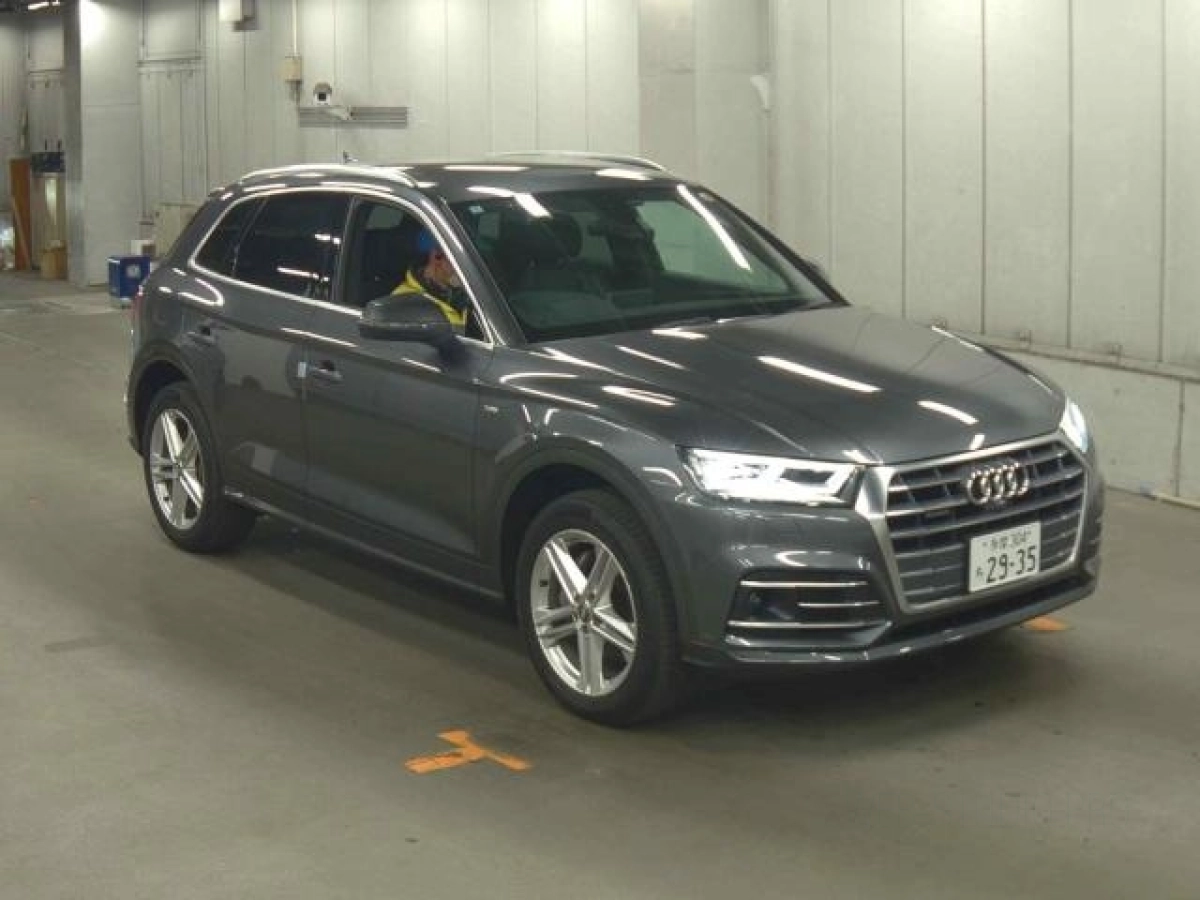 AUDI Q5 FYDETS 2019