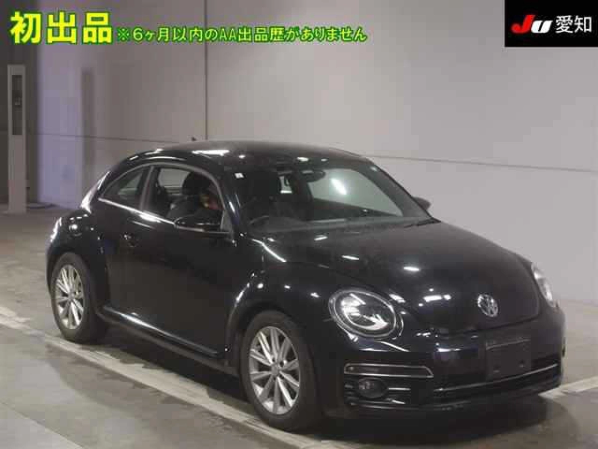 VOLKSWAGEN THE BEETLE 16CBZ 2019