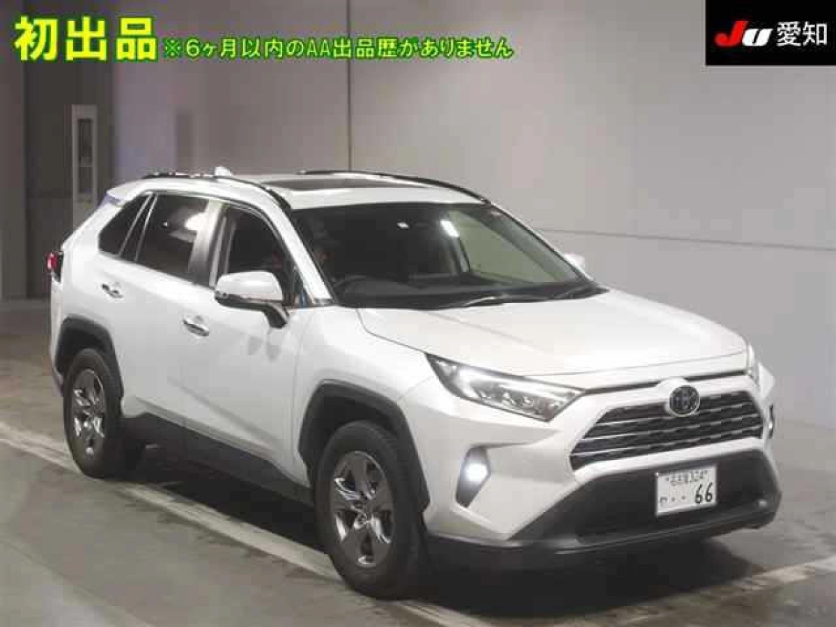 TOYOTA RAV4 MXAA52 2023
