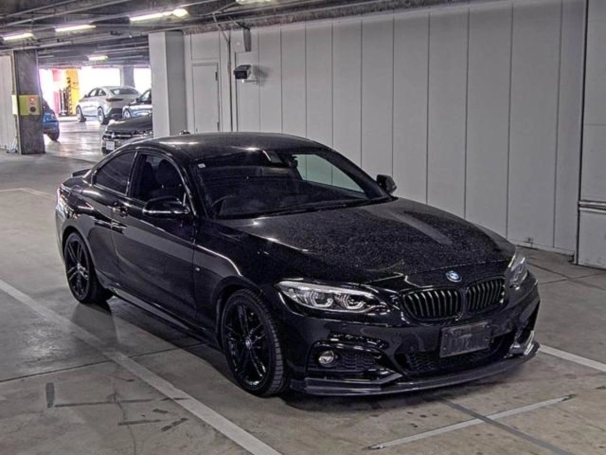 BMW 2 SERIES 2F20 2019