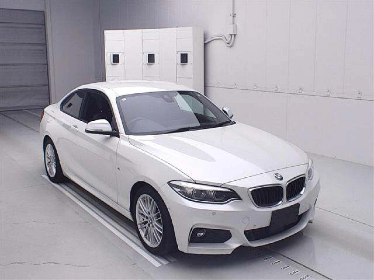 BMW 2 SERIES 2F20 2019