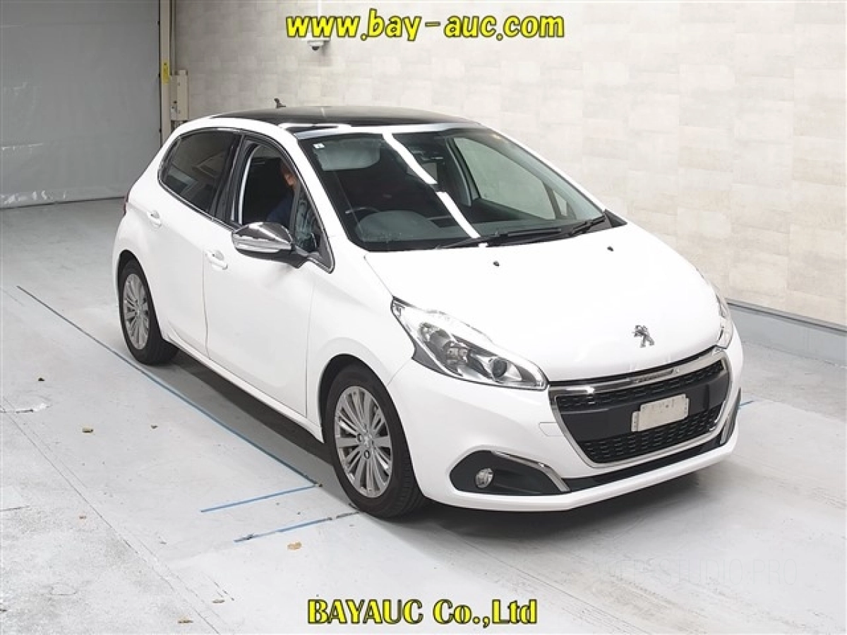 PEUGEOT 208 A9HN01 2019