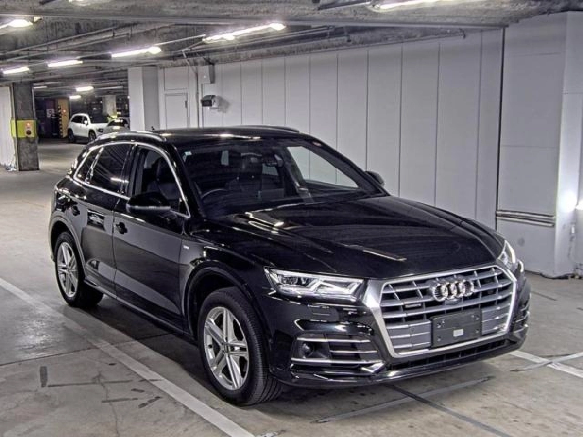 AUDI Q5 FYDETS 2019