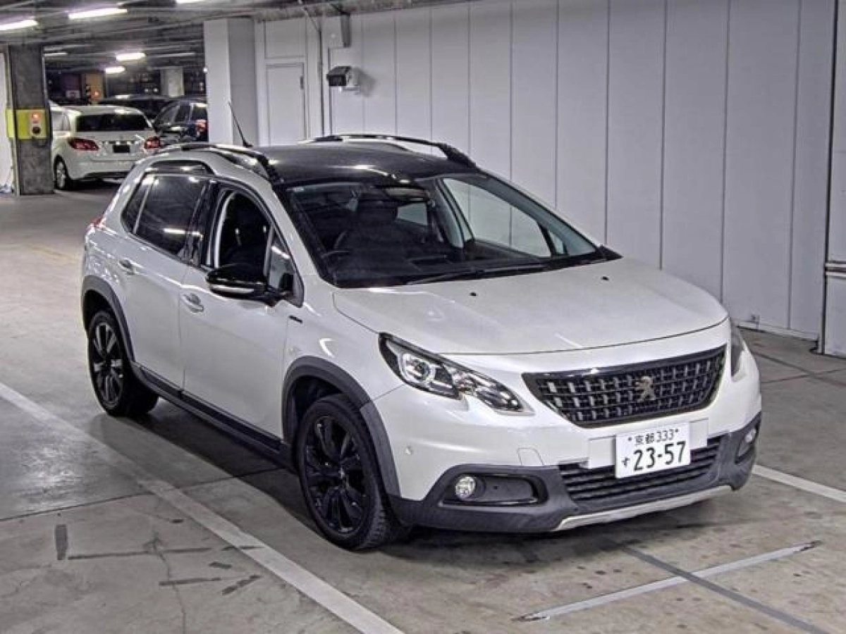 PEUGEOT 2008 A94HN01 2019