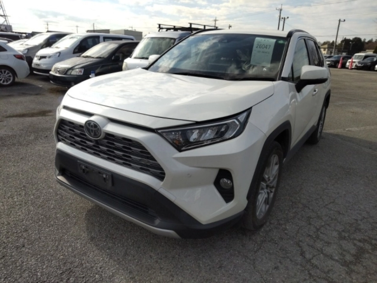 TOYOTA RAV4 MXAA54 2020