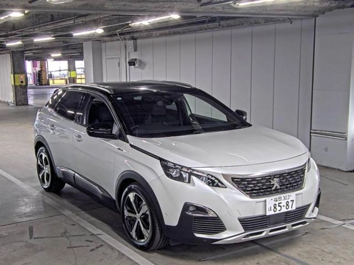 PEUGEOT 3008 P845G06 2019