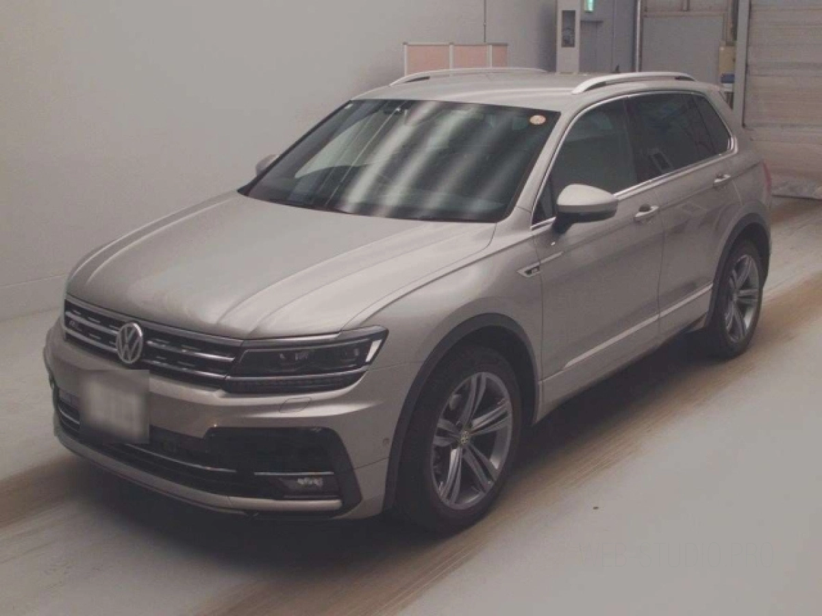 VOLKSWAGEN TIGUAN 5NDFGF 2019