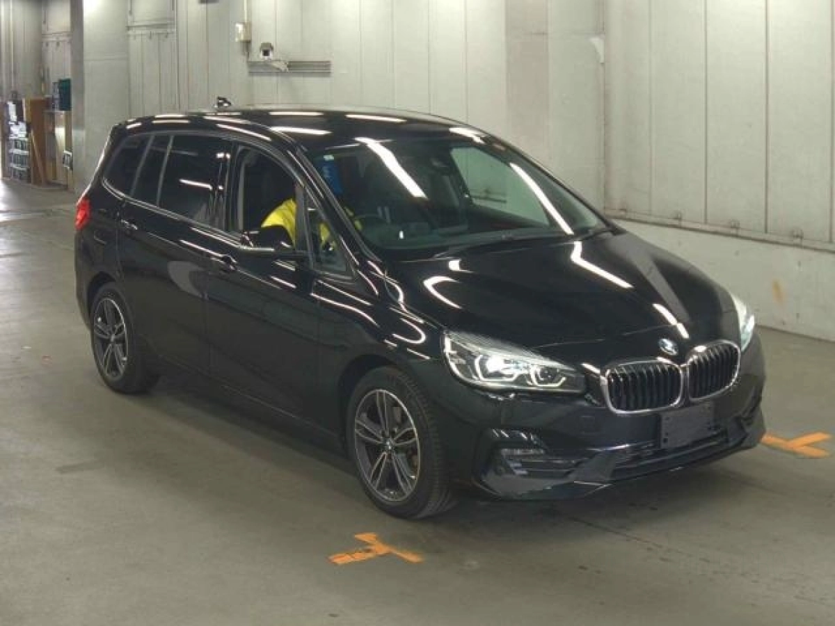 BMW 2 SERIES 2E20 2019